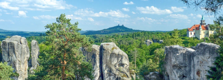 Flora Český ráj-Chráněné druhy rostlin CHKO Geopark Český ráj